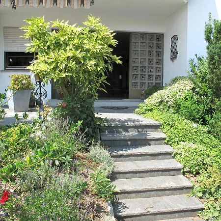 Meier * Φριντρισχάφεν