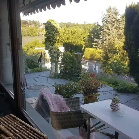 Meier