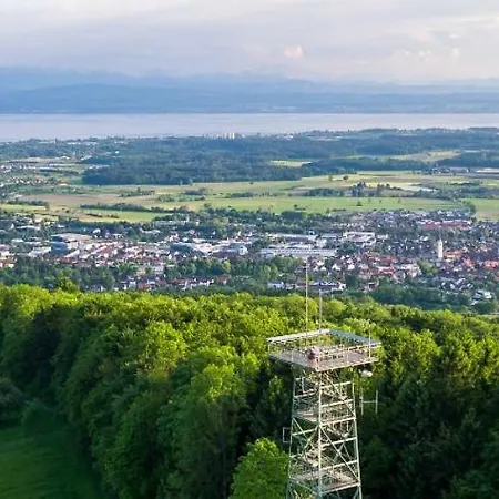 Meier *